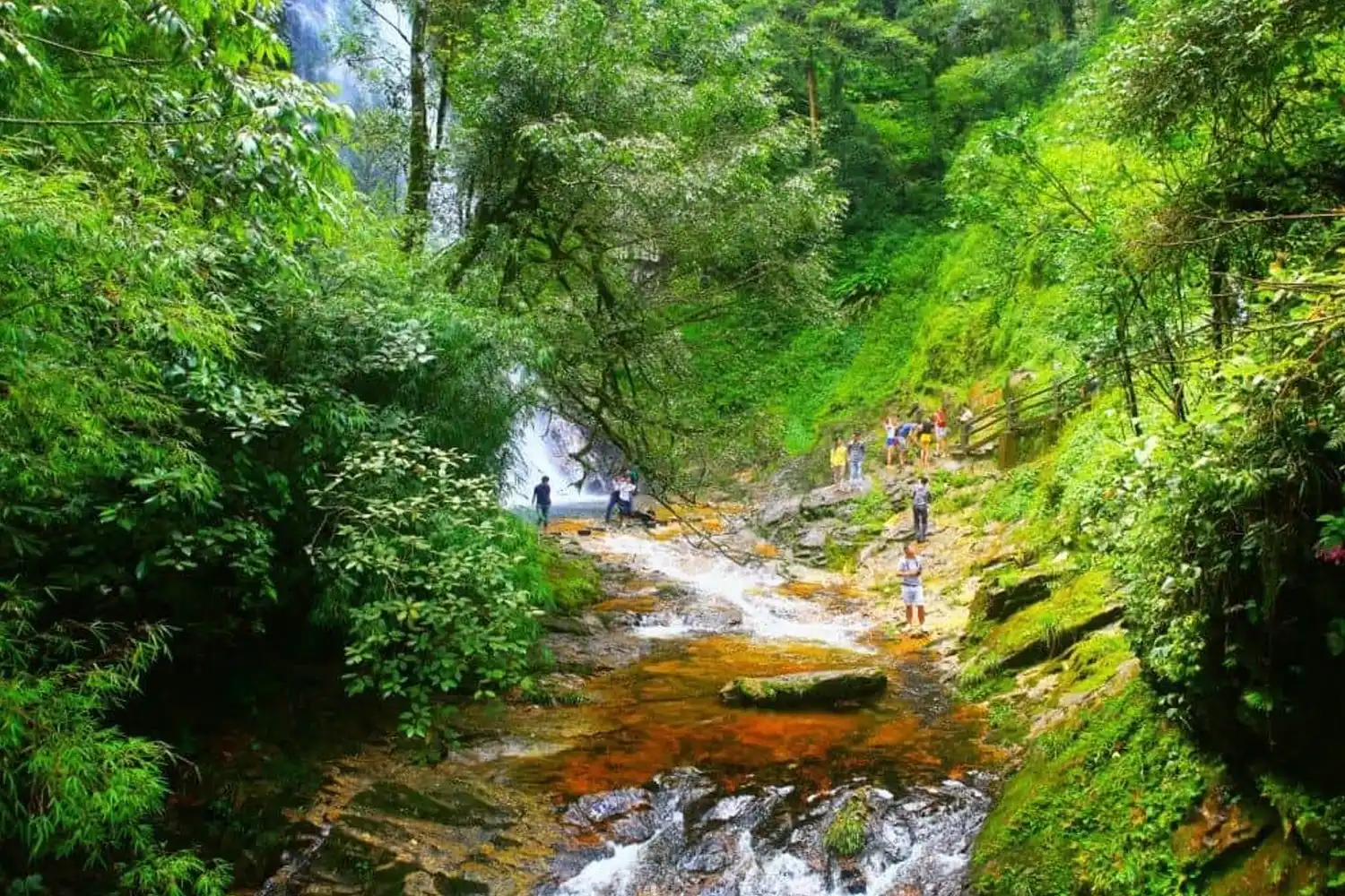 6 Days Vietnam Trip Package: Ba Na Hills & Coconut Forest