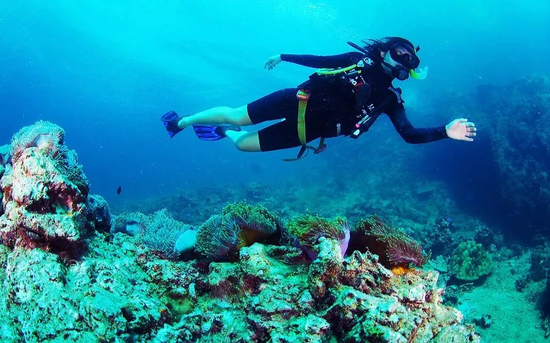Scuba Diving