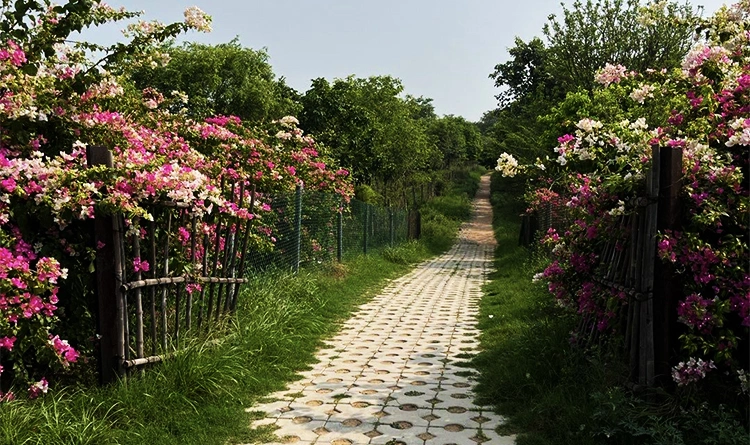 03. Aravalli Biodiversity Park