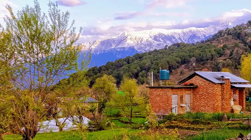 07. Bir