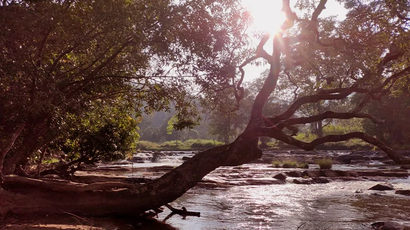 06. Coorg