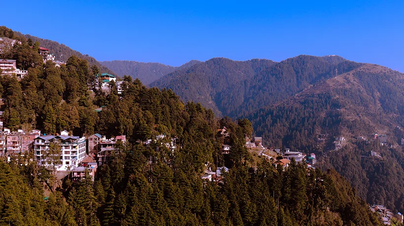 11. Dalhousie
