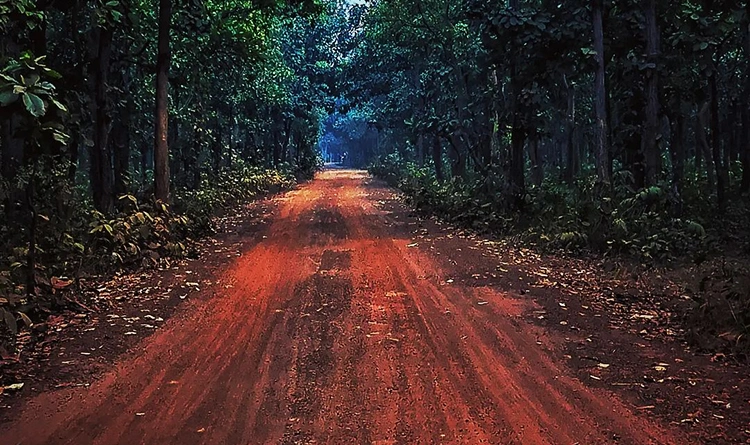 02. Garh Jungle