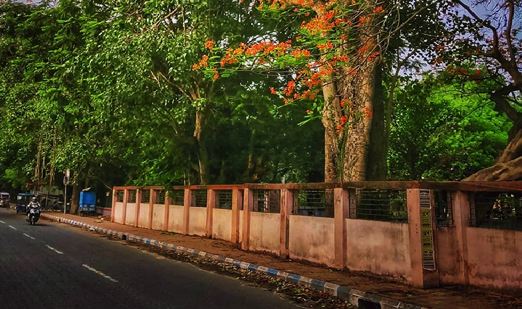 06. Gopal Bagh