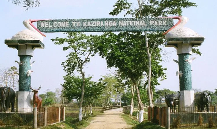 03. Kaziranga National Park