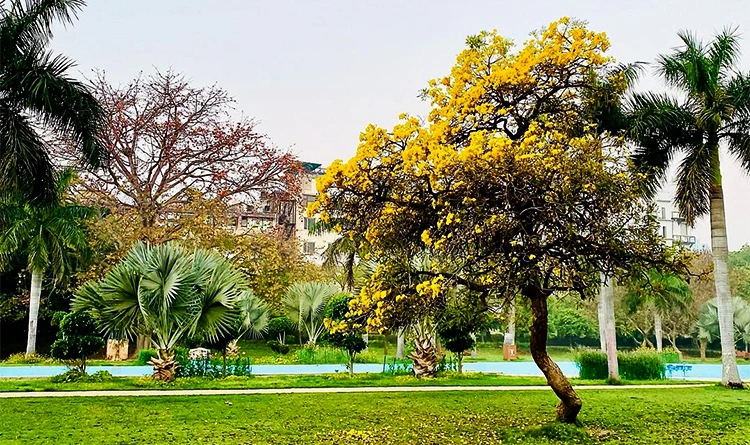 02. Leisure Valley Park