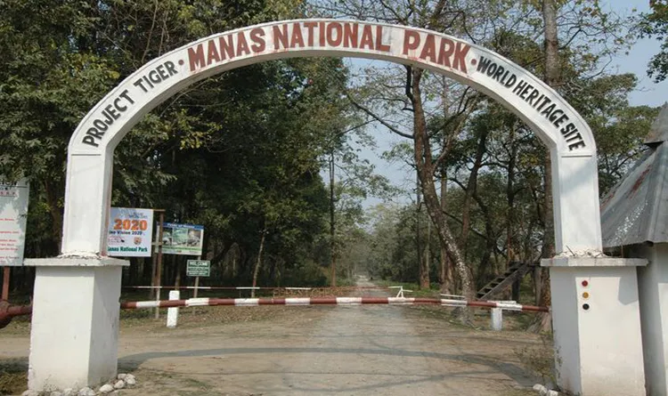 06. Manas National Park