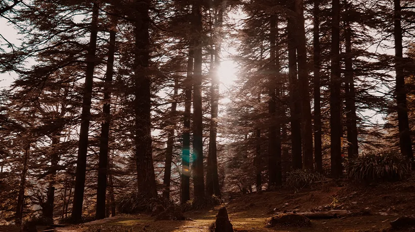 05. Mcleodganj