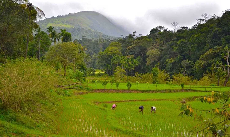 04. Morigaon