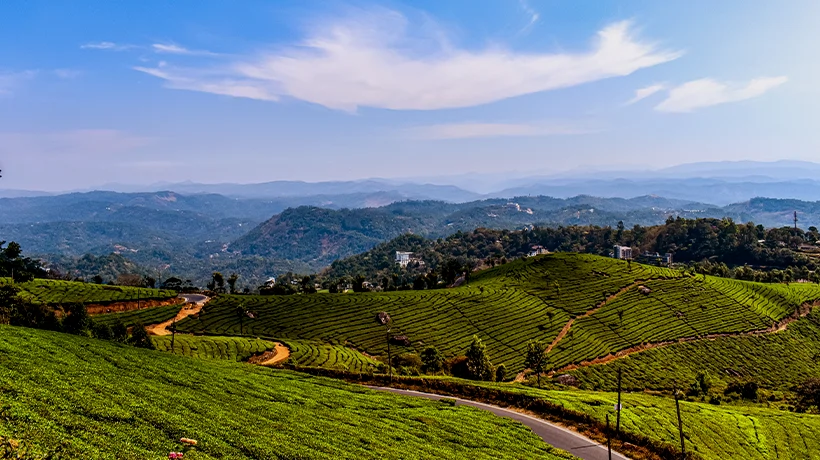 07. Munnar