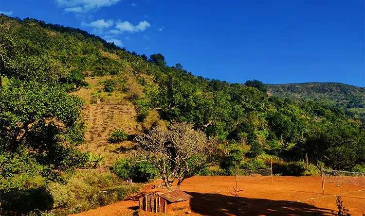 03. Niyamgiri Hills