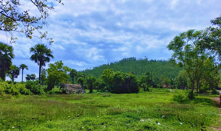 07. Olasuni Hill