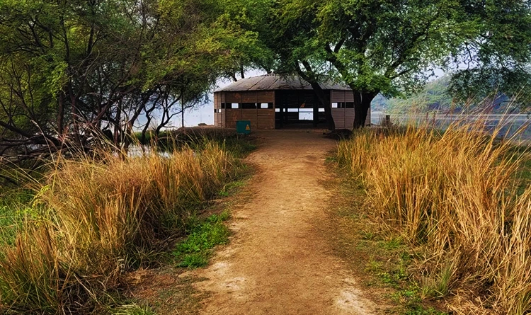 06. Subhash Chandra Bose Park