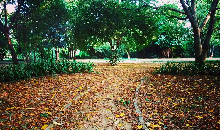 01. Tau Devi Lal Biodiversity Park