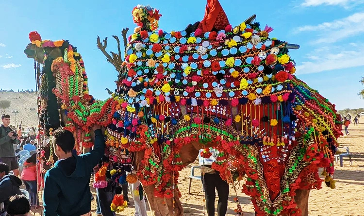 03. Bikaner