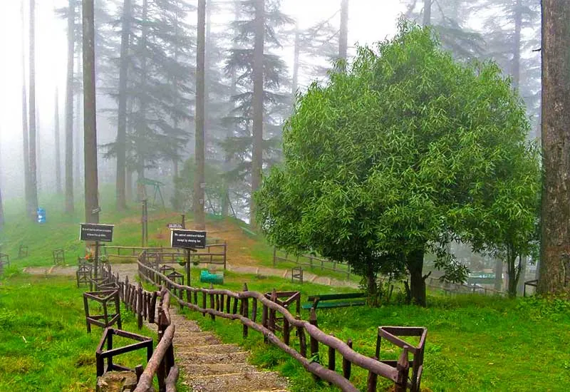 best kanatal trip from delhi 