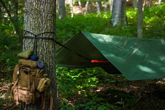01. Camping In The Dense Forest