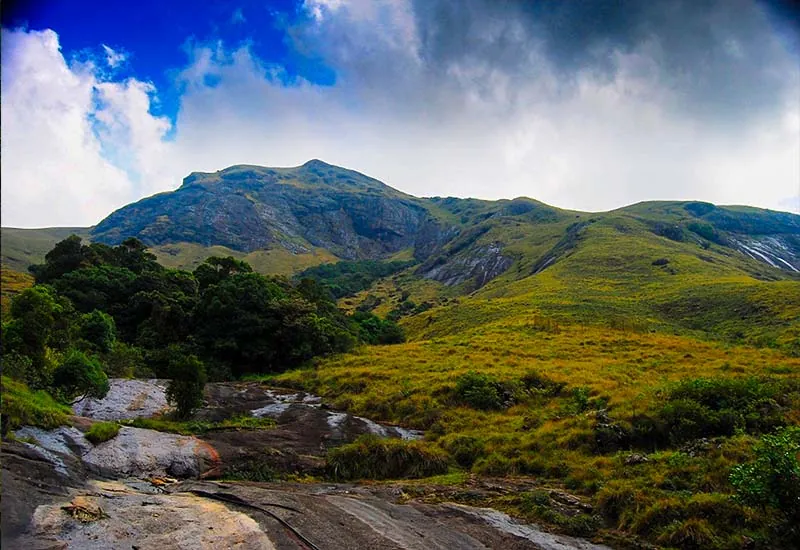 03. The Eravikulam National Park