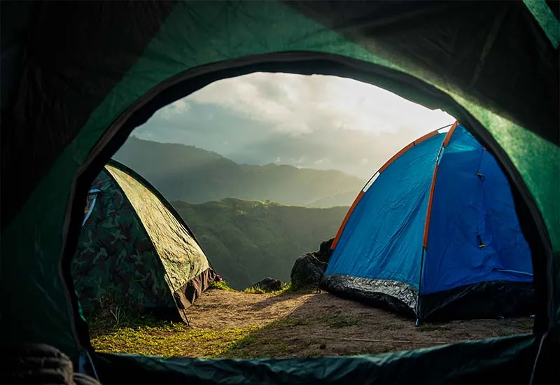 01. Camp Mustang