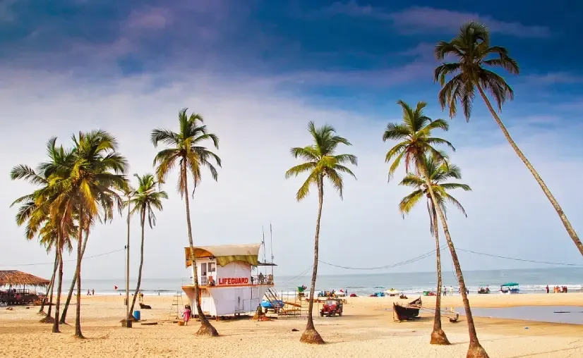 02. Colva Beach