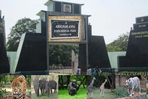 11. Anna Zoological Park