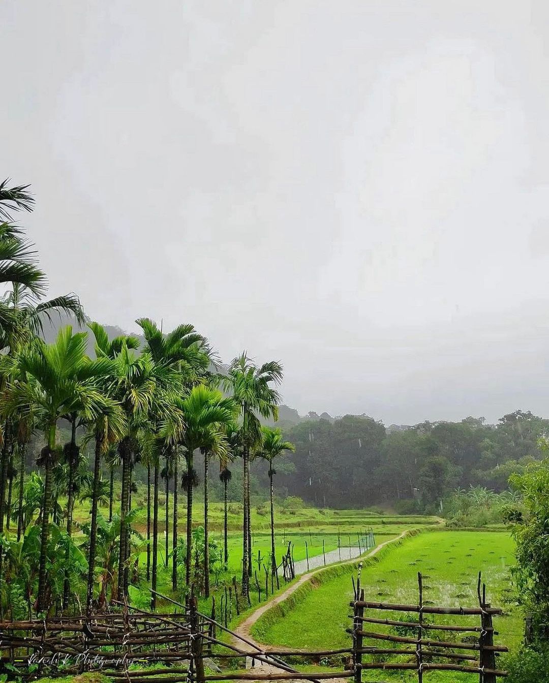 Kuzhiyanamkunn View Point in Vadanamkurussi,Palakkad - Best Tourist  Attraction in Palakkad - Justdial