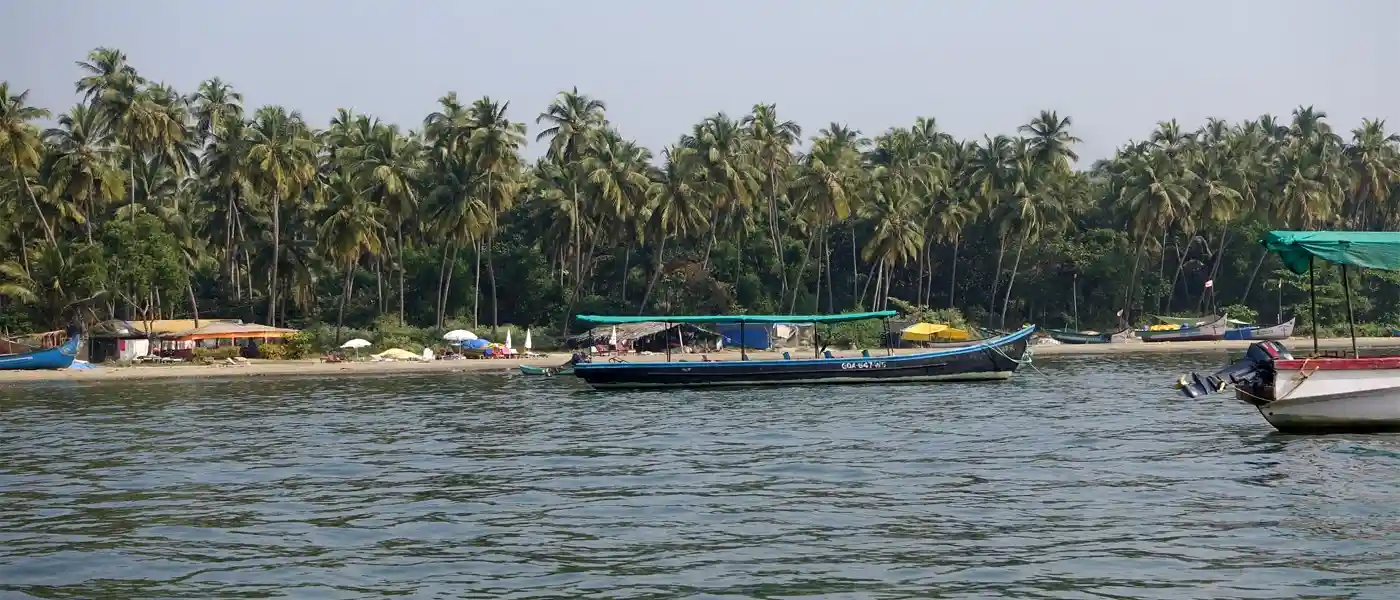 A Guide to Coco Beach in Goa