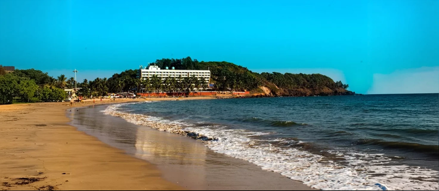 A Guide to Hollant Beach Goa