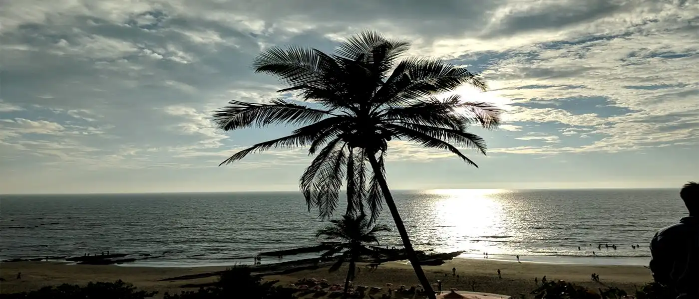 A Guide to Thalassa