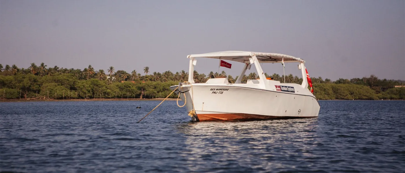 A Guide to Waters Beach Club in Goa