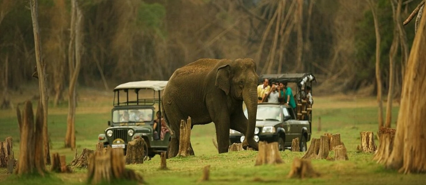 Adventure Activities in Coorg