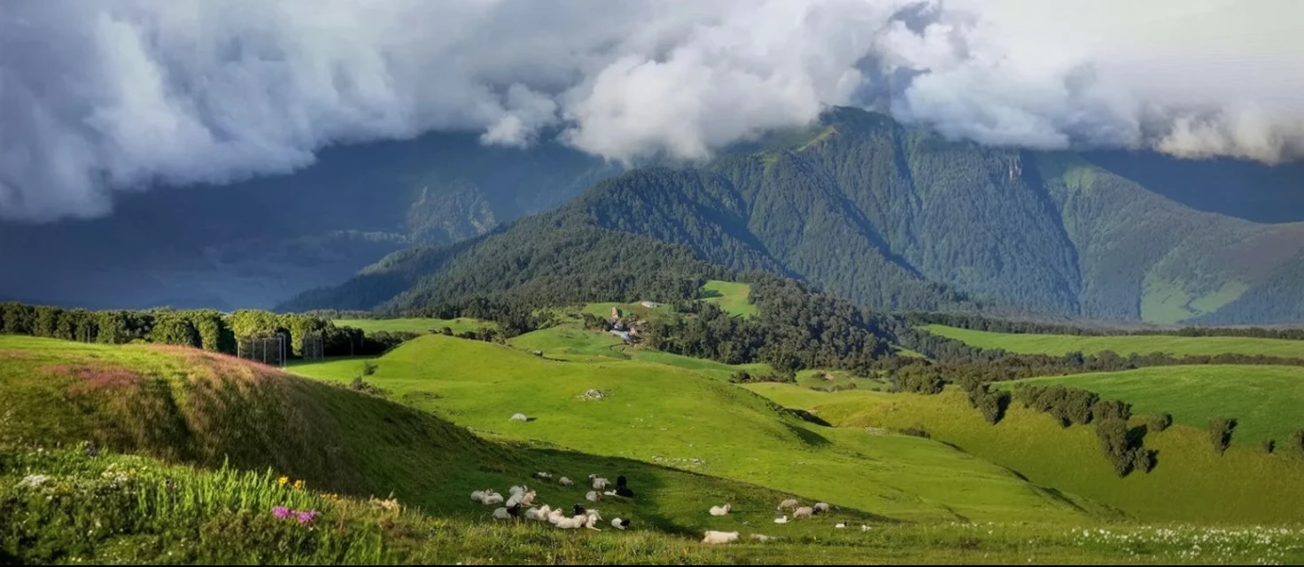 Ali Bedni Bugyal Trek: Price