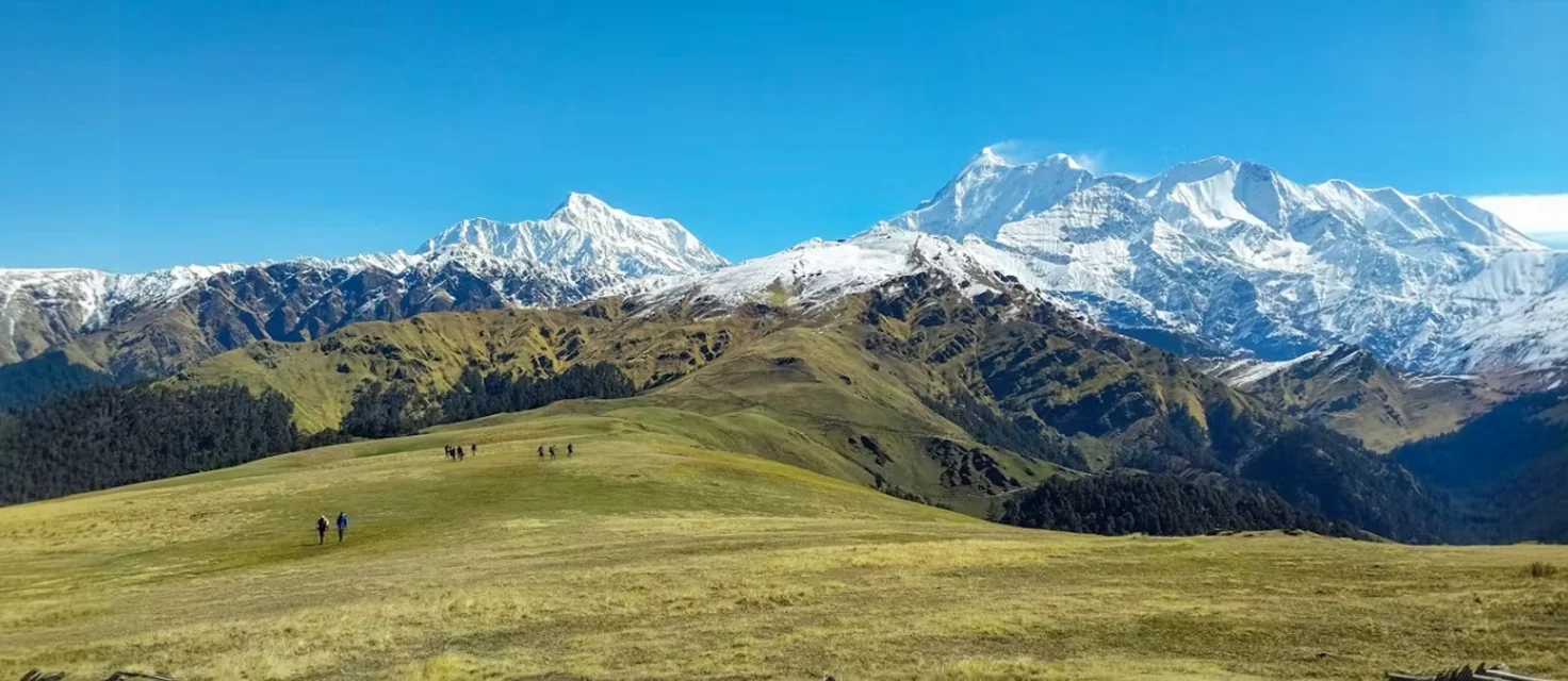 Ali Bedni Bugyal Trek: Top Attractions/ Things to do