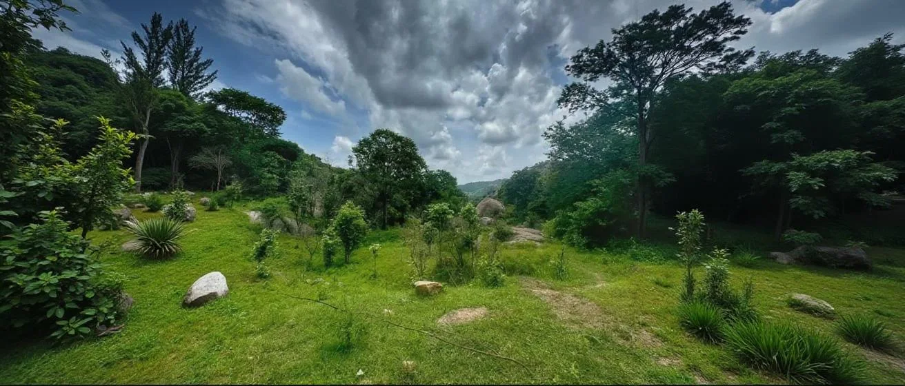 Best Treks In Karnataka