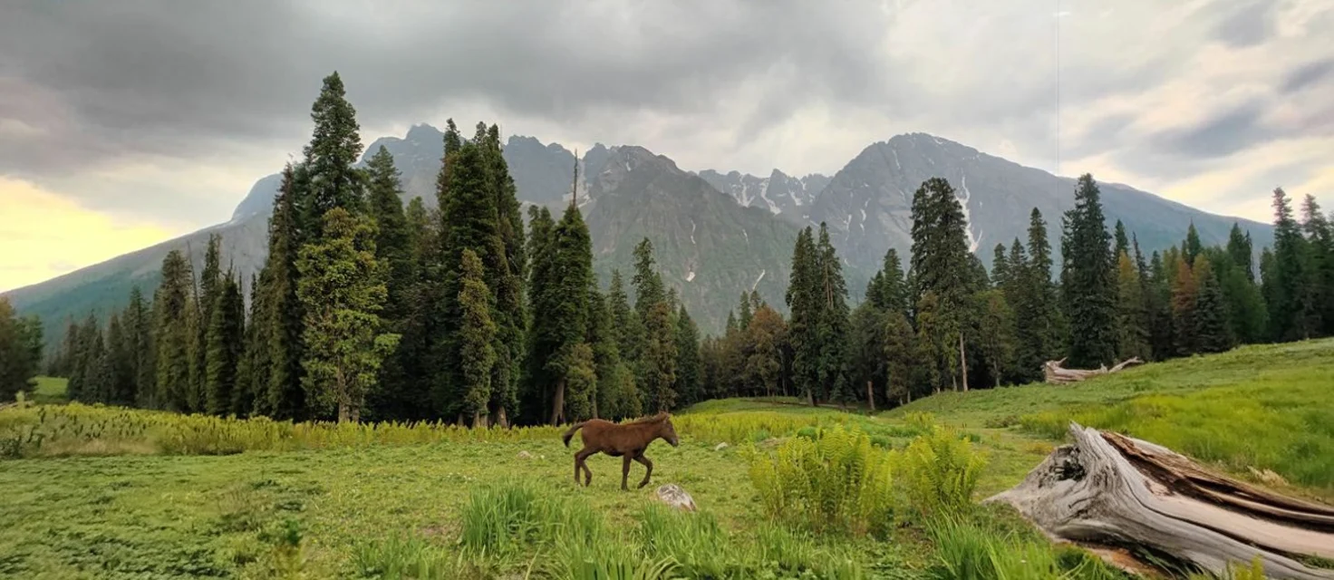 Buran Ghati Trek: Age Requirement