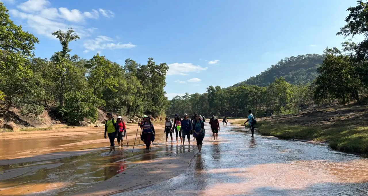 Chhattisgarh Jungle Trek: A Perfect Go-To Guide!