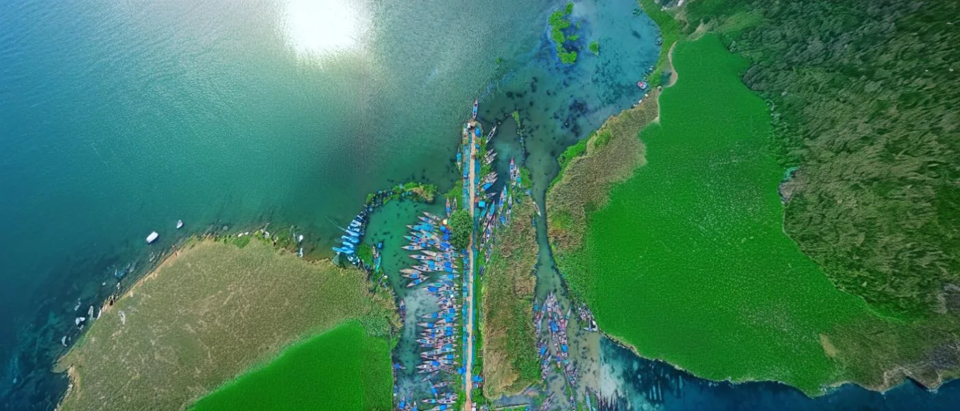 A Guide to Chilika Lake, Odisha