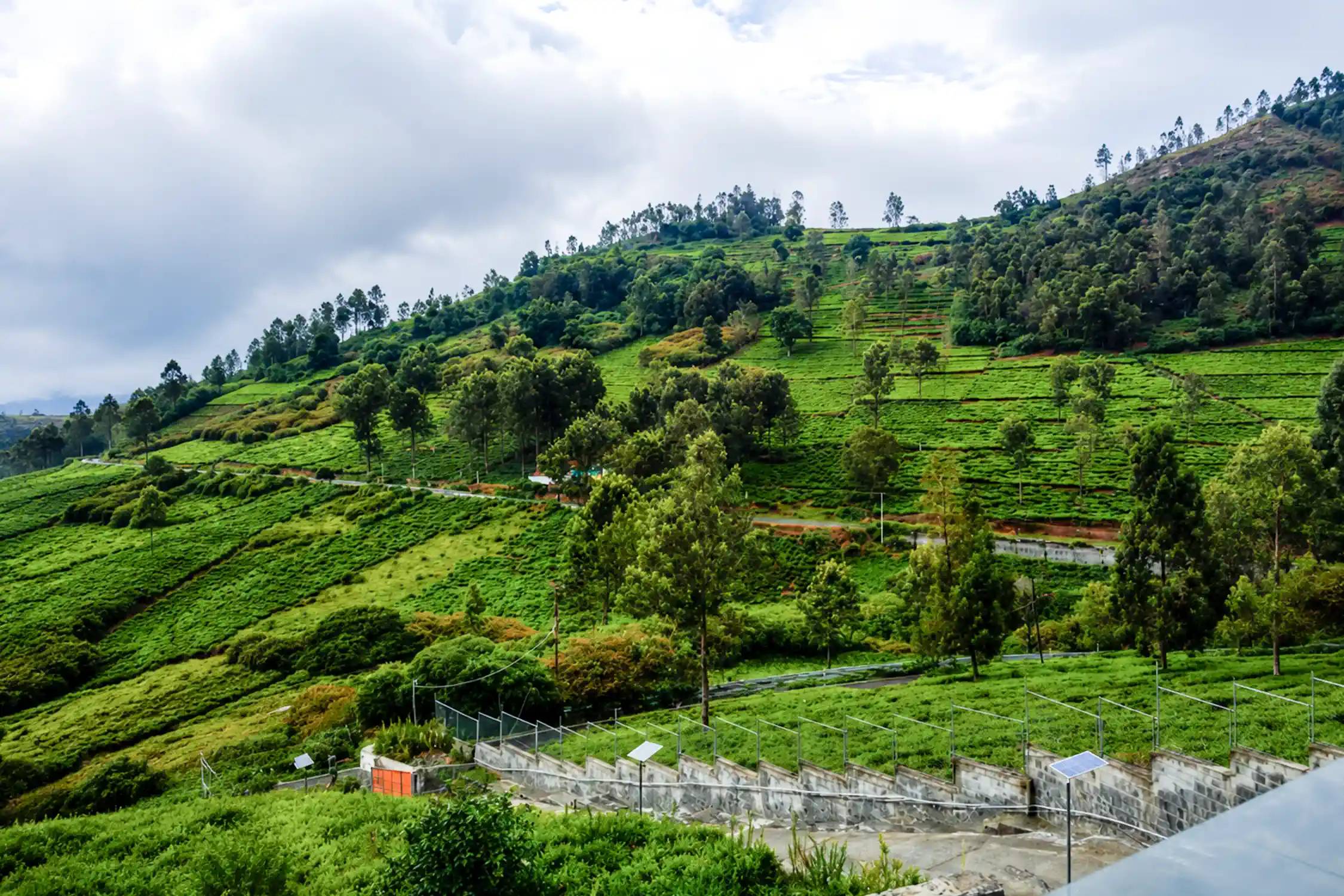 15 Best Family Outing Places in India