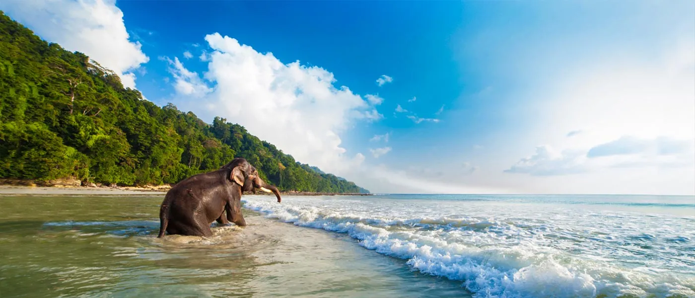 A Guide to Havelock Island