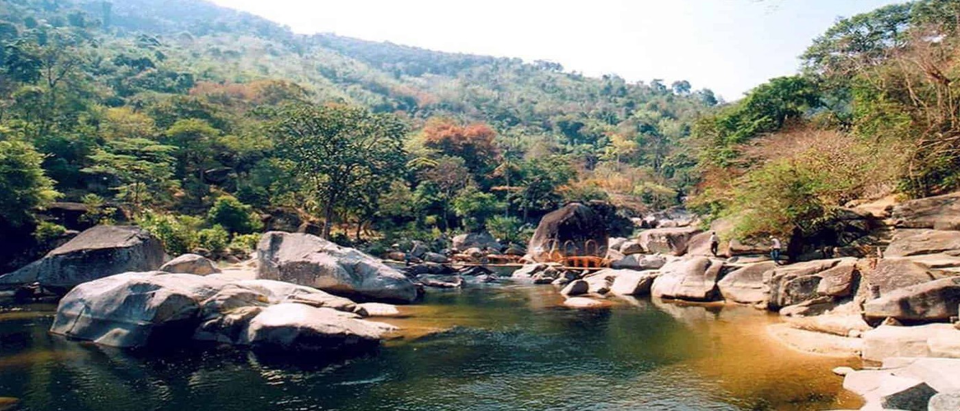 Elephant Sanctuaries in Vietnam