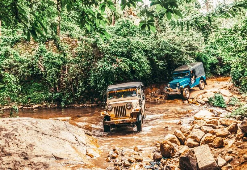 Munnar Jeep Safari: Rolling Through The Tea Plantations