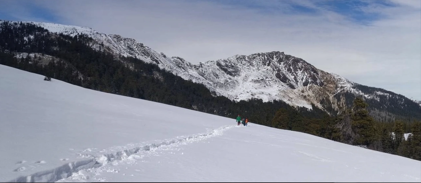 Kuari Pass Trek: Gateway to Himalayan Splendour