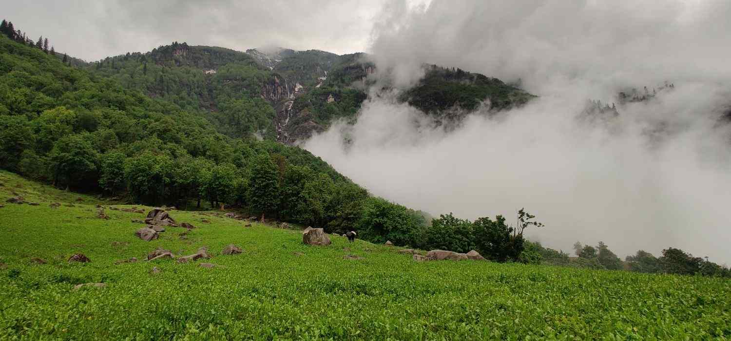 Manali Wildlife Sanctuary