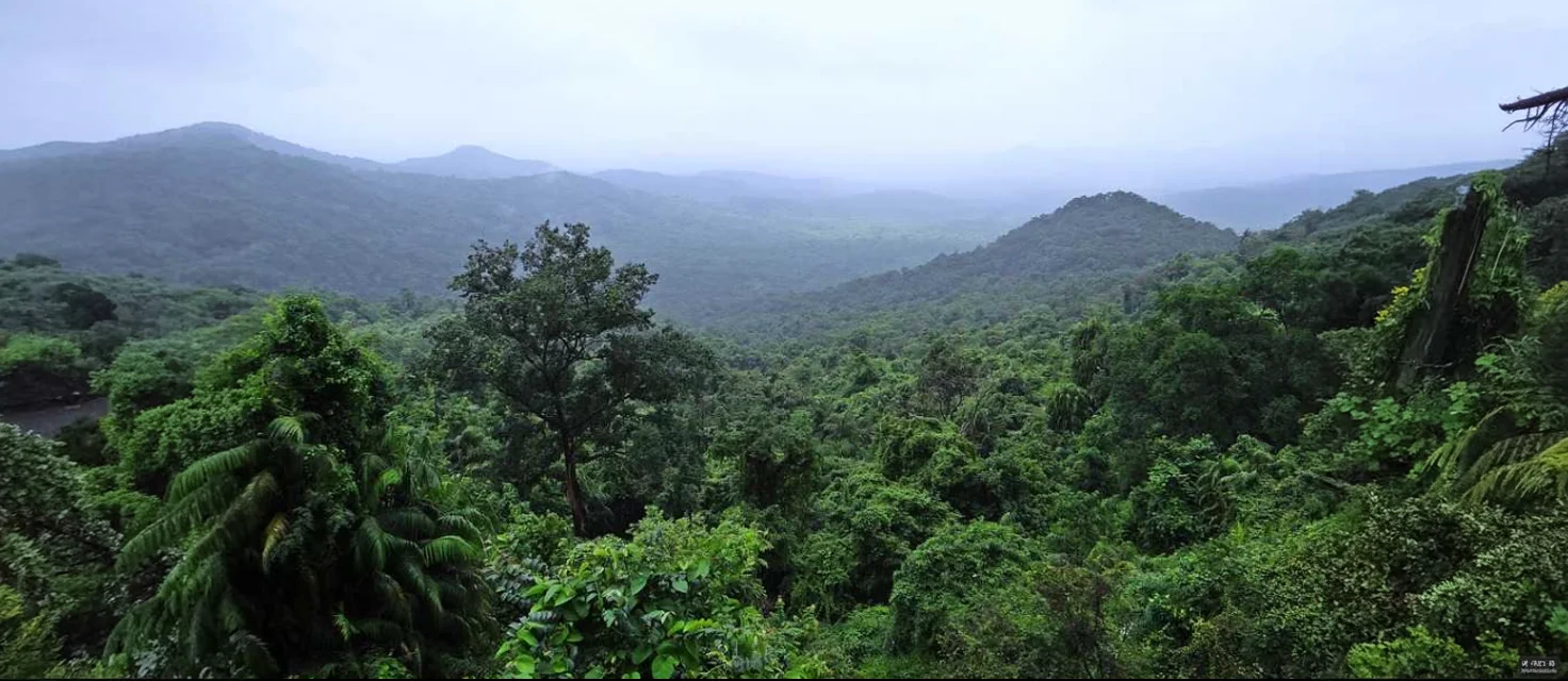 Mollem National Park