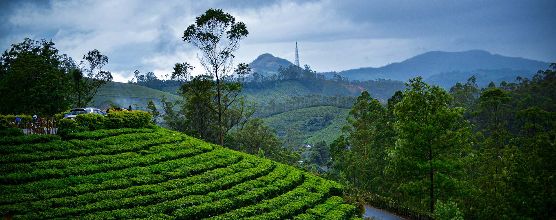 Places to Visit in Munnar in 1 Day