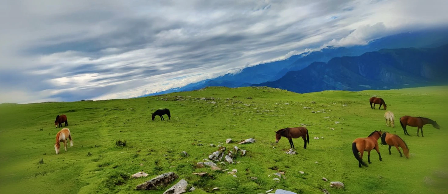 Phulara Ridge Trek: Frequently Asked Questions (FAQ)
