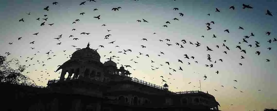 Picnic Spots in Jaipur