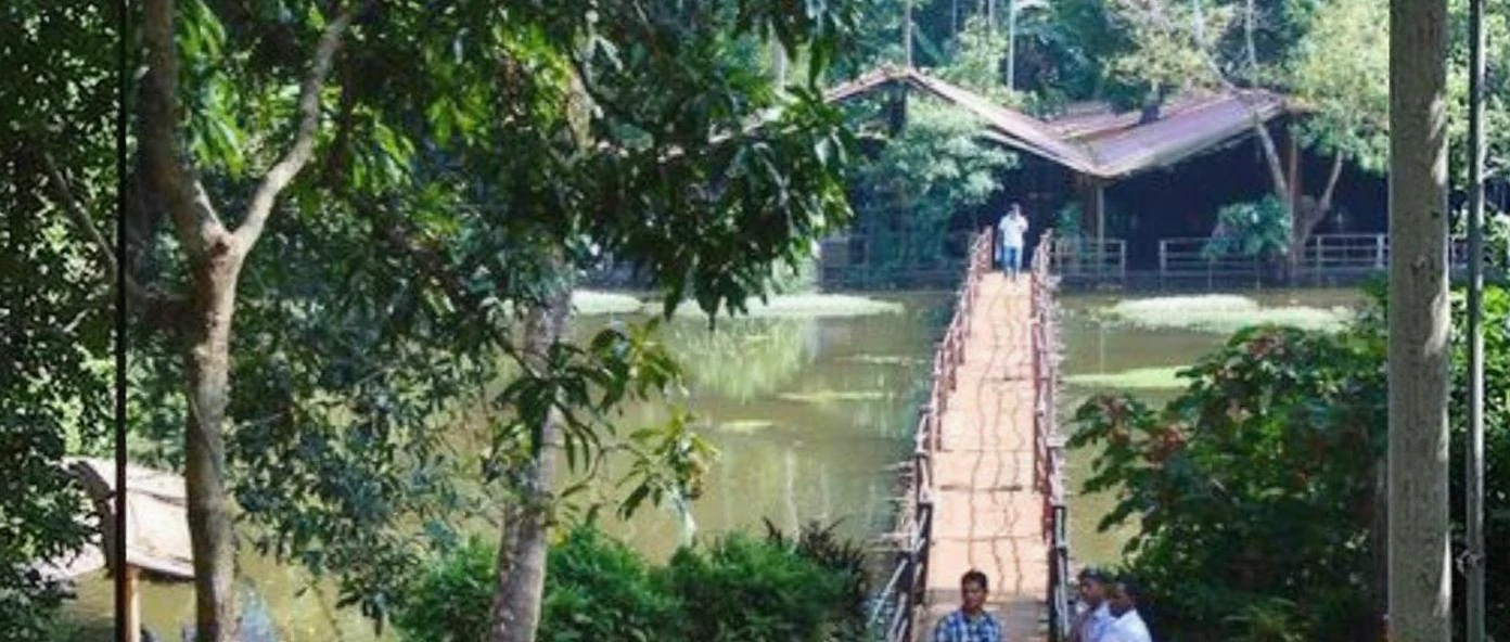 Savoi Spice Plantation