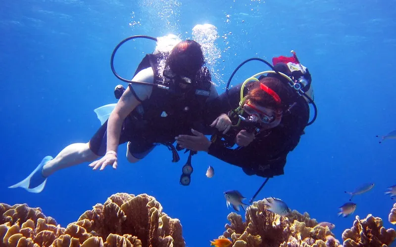 Scuba Diving in Pondicherry: Dive Into The Magical Blue