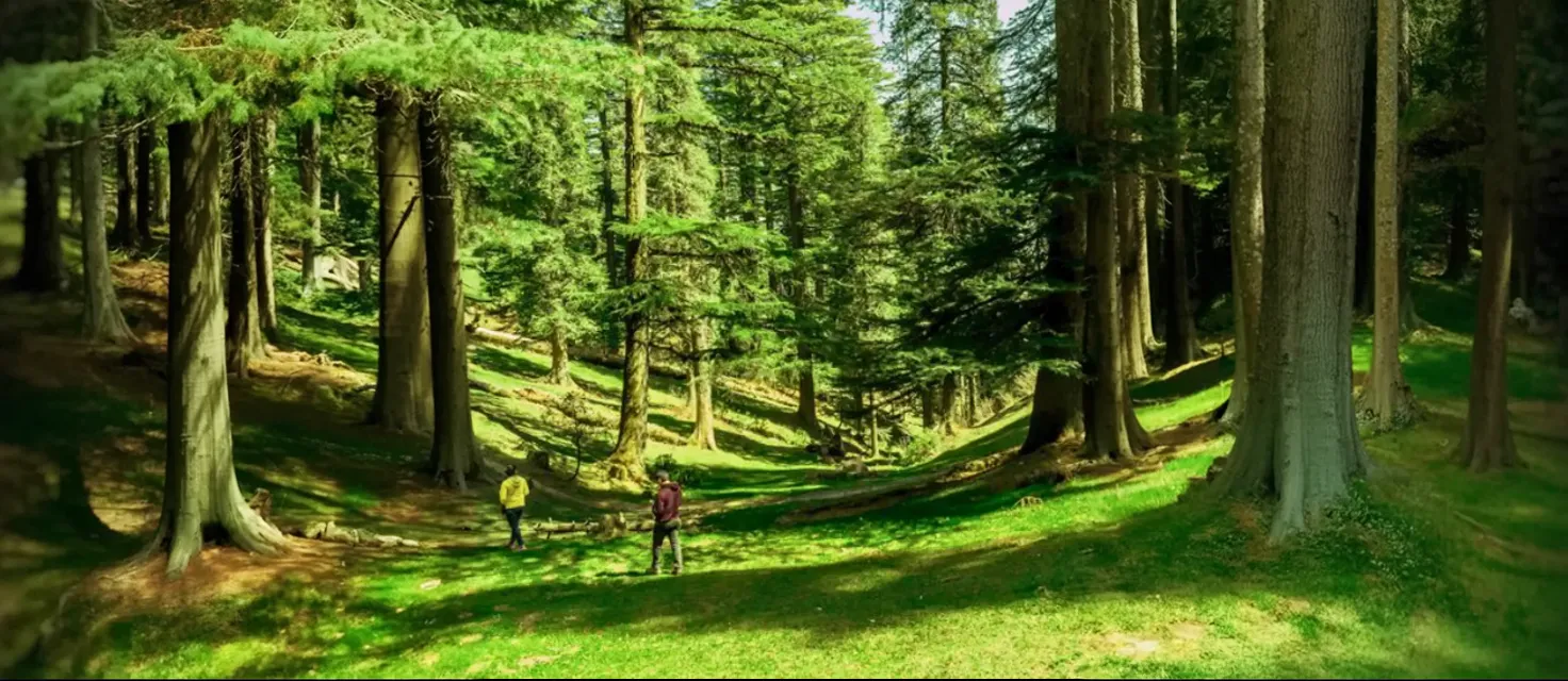 Treks Near Dalhousie